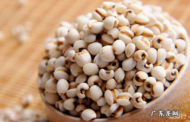 补脾的食物有哪些 十大补脾食物排行榜