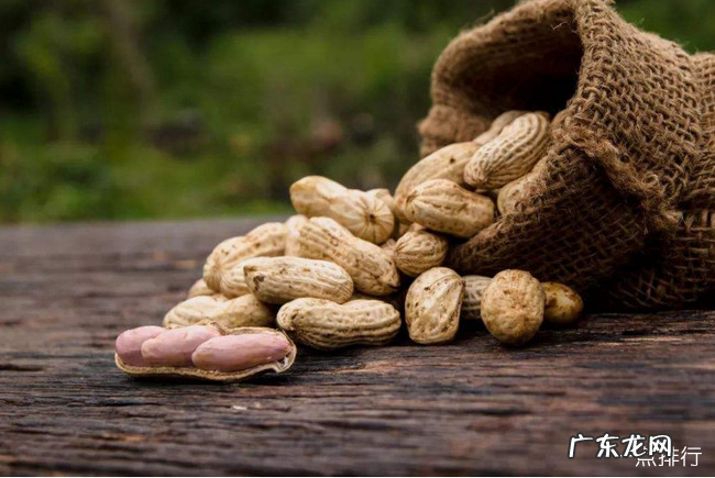 补气的食物都有哪些 十大补气食物排行
