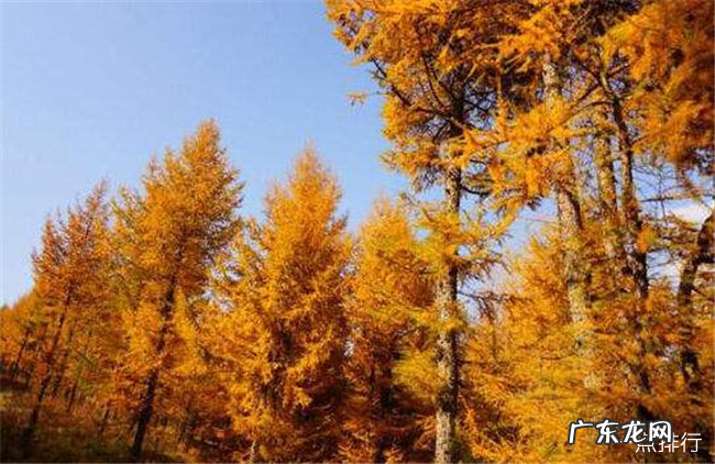 张家口十大旅游景点排名 张家口好玩的地方推荐