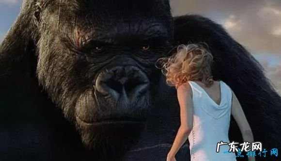 动物电影排行榜前十名 《侏罗纪公园》位居榜首