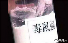 世界上最毒的毒药排名 肉毒杆菌毒性最强