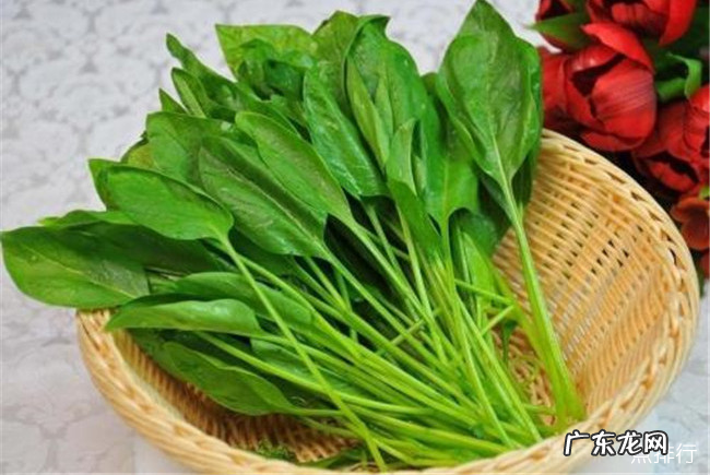 孕妇十大禁忌食物一览表 孕妇忌吃什么食物