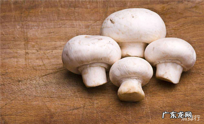 富含维生素d的食物有哪些 维生素d的食物排行榜