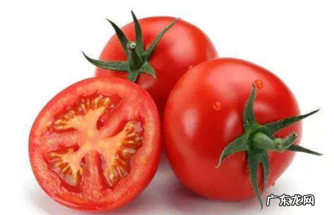 护肝的食物是什么 最护肝养肝的10种食物