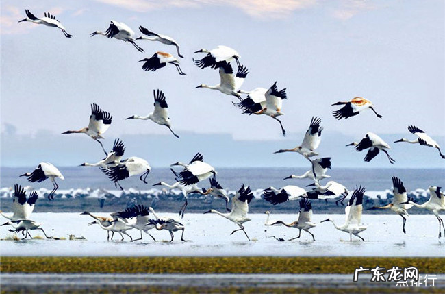 江西十大旅游景点排行 江西必玩景点推荐