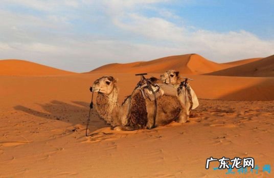 世界上5件最奇怪的事并非无稽之谈