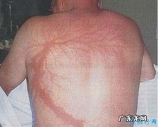 世界上5件最奇怪的事并非无稽之谈