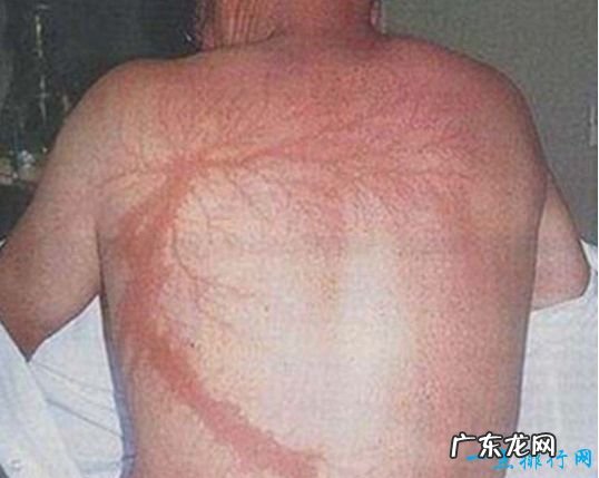 世界上5件最奇怪的事并非无稽之谈