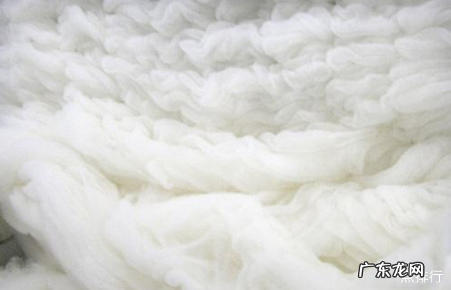 鄂尔多斯十大特产 鄂尔多斯特产有什么