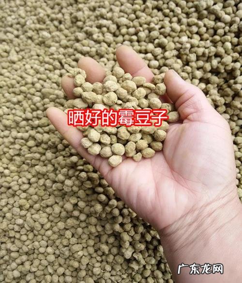 你们老家有什么发酵的美食