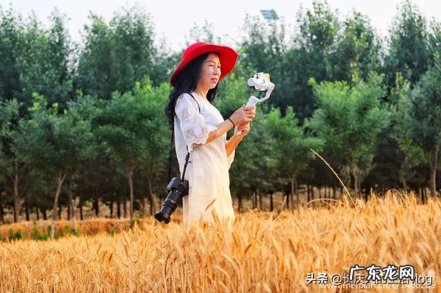 如何看待我国旅游市场的现状和发展趋势