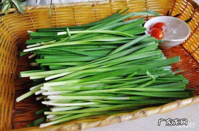 壮阳的食物都有哪些 壮阳食物排行榜10强