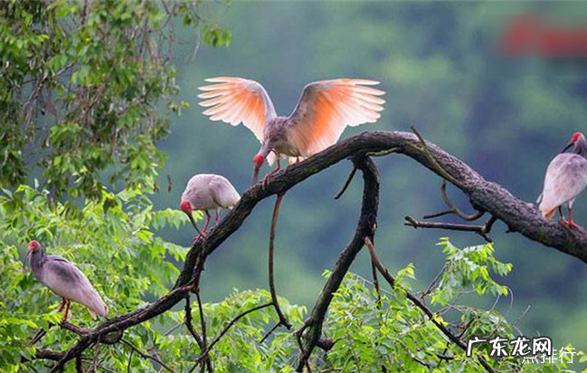 漯河十大旅游景点大全 漯河有哪些好玩的景点