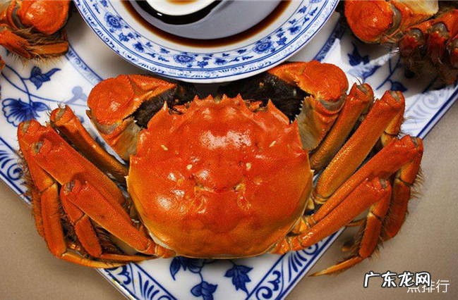 吃柿子不能吃什么 吃柿子的禁忌排行