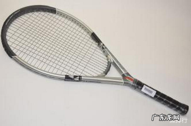 网球拍什么牌子好 世界十大著名网球拍