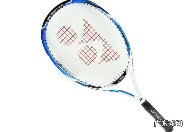 网球拍什么牌子好 世界十大著名网球拍