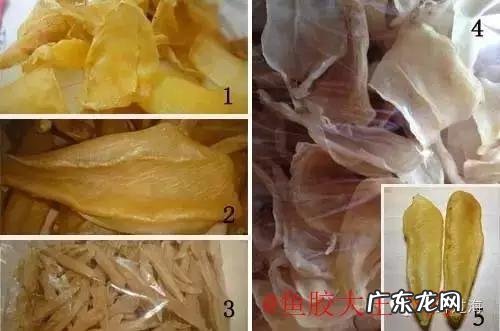 怎么辨别花胶真假?