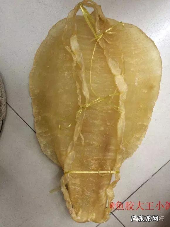 怎么辨别花胶真假?