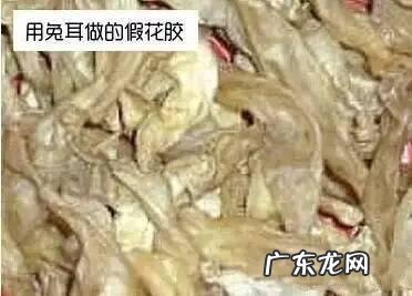 怎么辨别花胶真假?