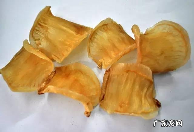 怎么辨别花胶真假？