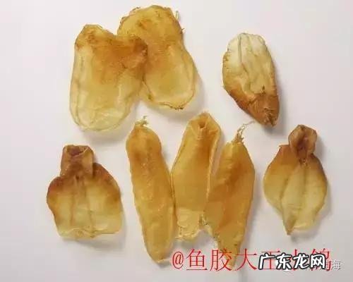 怎么辨别花胶真假?