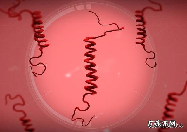 自然界的天灾:地震、火灾、洪水、瘟疫,你是怎样为四者排名的?为什么这样排名呢?