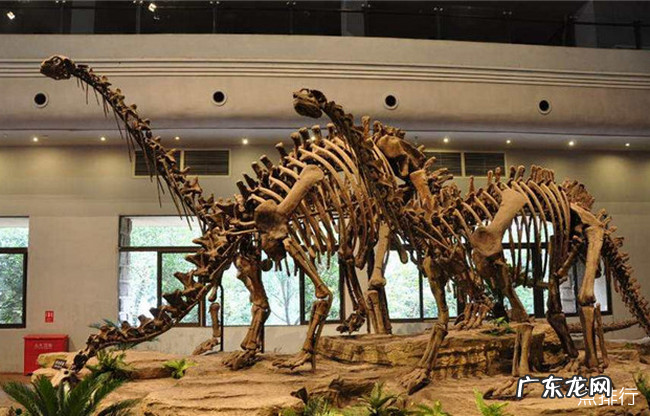 自贡十大旅游景点大全 自贡有什么好玩的地方