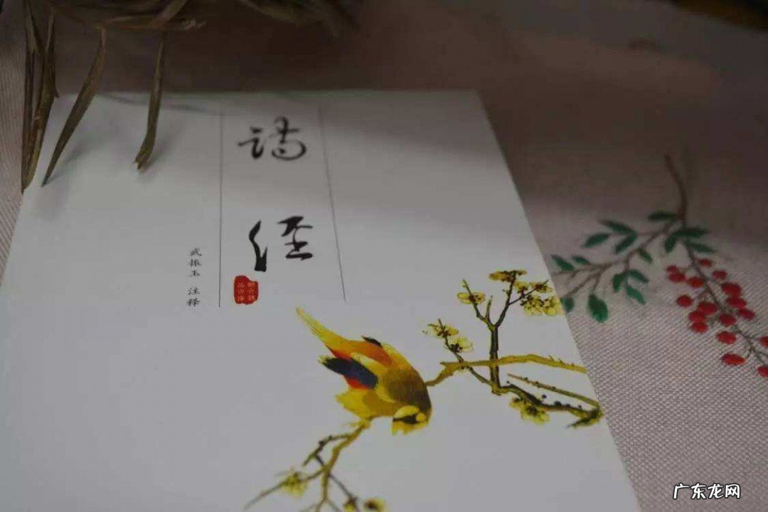 青青子吟悠悠我心的作者是谁