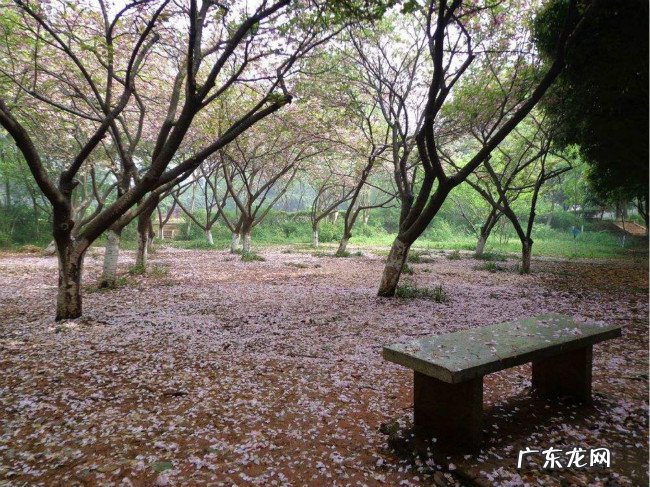 2018年湖南科技大学世界排名、中国排名、专业排名