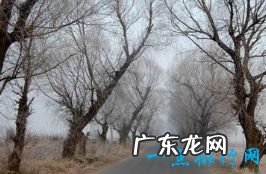 中国十大悍匪战斗力排名榜