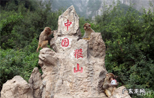 济源十大旅游景点大全 济源最值得去的景点TOP10