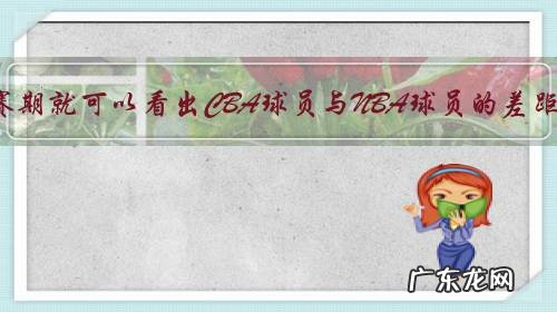 如何理解“从休赛期就可以看出CBA球员与NBA球员的差距在哪”这句话?