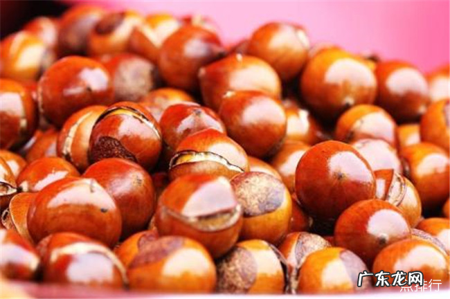 肾阳虚吃什么食物 调理肾阳虚最好的十种食物