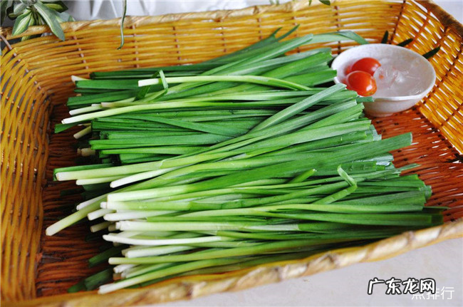 肾阳虚吃什么食物 调理肾阳虚最好的十种食物