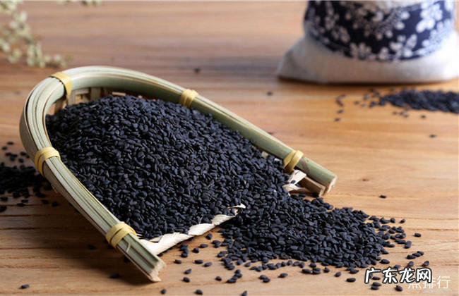 肾阳虚吃什么食物 调理肾阳虚最好的十种食物