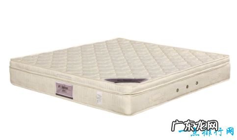 十大名牌床垫 金海马床垫排第一