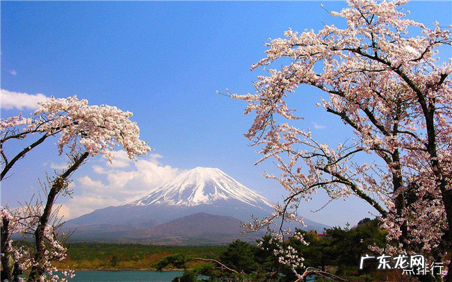 日本十大旅游景点排名 日本旅游必去景点排名