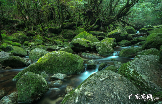 日本十大旅游景点排名 日本旅游必去景点排名