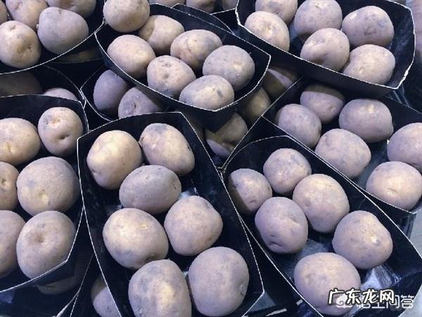 长针眼怎么快速消除?