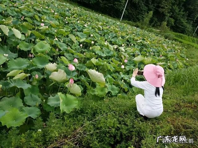 什么牌子的甲壳素比较好啊