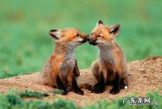 是不是和不喜欢的男生在一起连接吻都会觉得恶心?