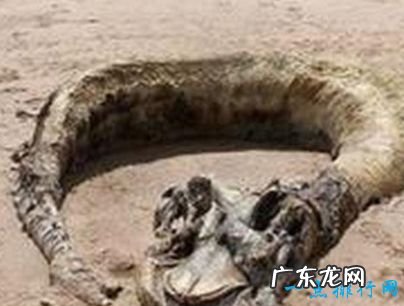 中国十大未解之谜 双鱼玉佩事件排第一