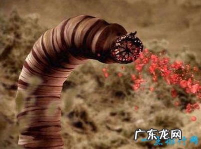 中国十大未解之谜 双鱼玉佩事件排第一