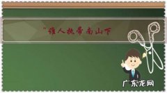 “谁人执帚南山下，半扫愁思半扫尘”两个“半”字妙处何在？