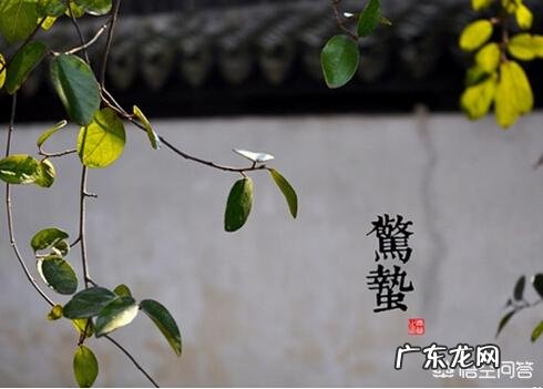 农村常说的“惊蛰不下雨，今年要饿死”是什么意思，有啥道理？