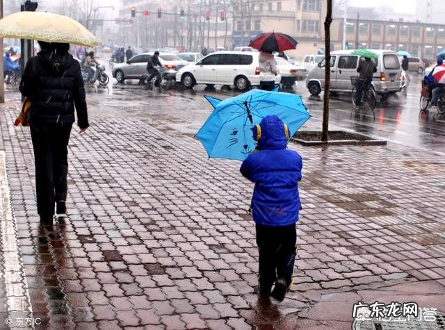 农村常说的“惊蛰不下雨,今年要饿死”是什么意思,有啥道理?
