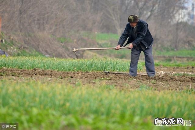 农村常说的“惊蛰不下雨,今年要饿死”是什么意思,有啥道理?