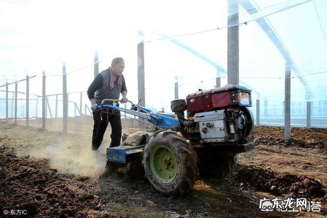 农村常说的“惊蛰不下雨,今年要饿死”是什么意思,有啥道理?