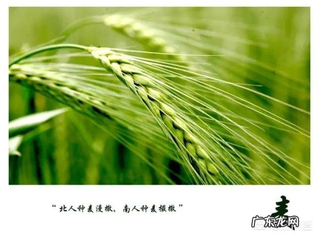 农村常说的“惊蛰不下雨,今年要饿死”是什么意思,有啥道理?