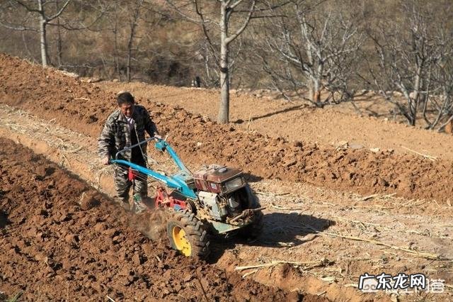 农村常说的“惊蛰不下雨，今年要饿死”是什么意思，有啥道理？